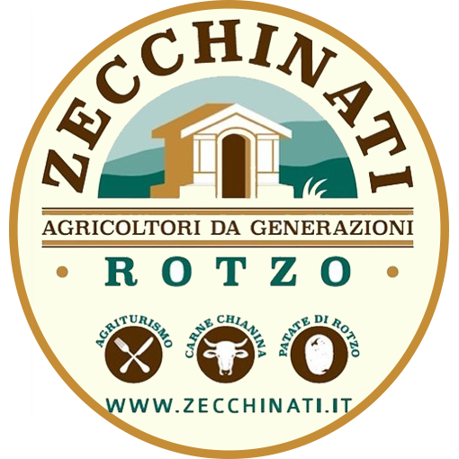 logo png zecchinatiit zecchinatiit